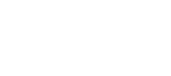 SALEF